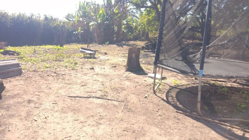 Chácara de 3000m2 A  venda no park way  - Foto 5