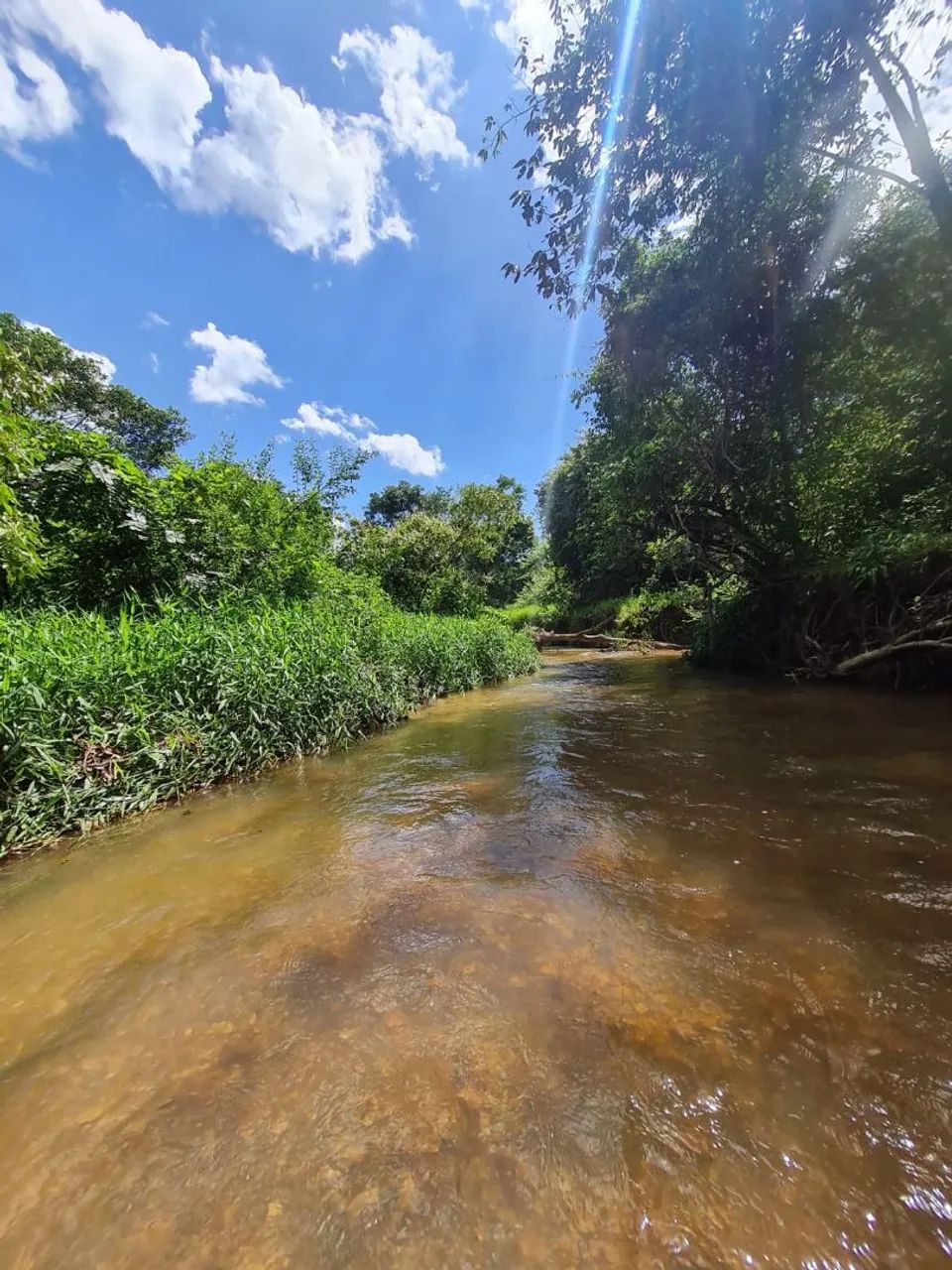 Vende -se. Chácara de 1 alqueire e 5 litros  - Foto 7