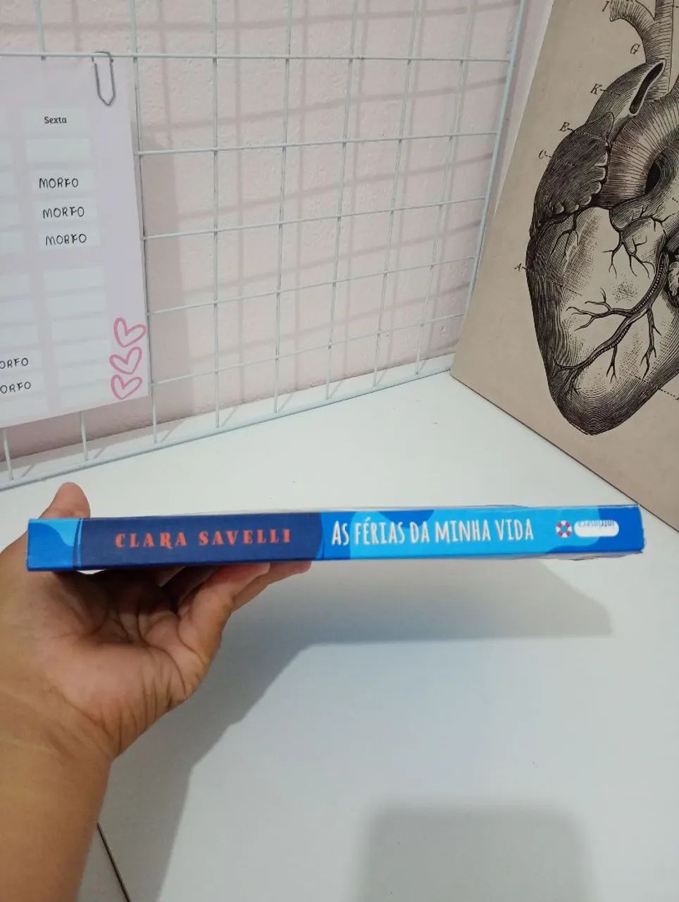 As Féria Da Minha Vida da Clara Savelli - Foto 2