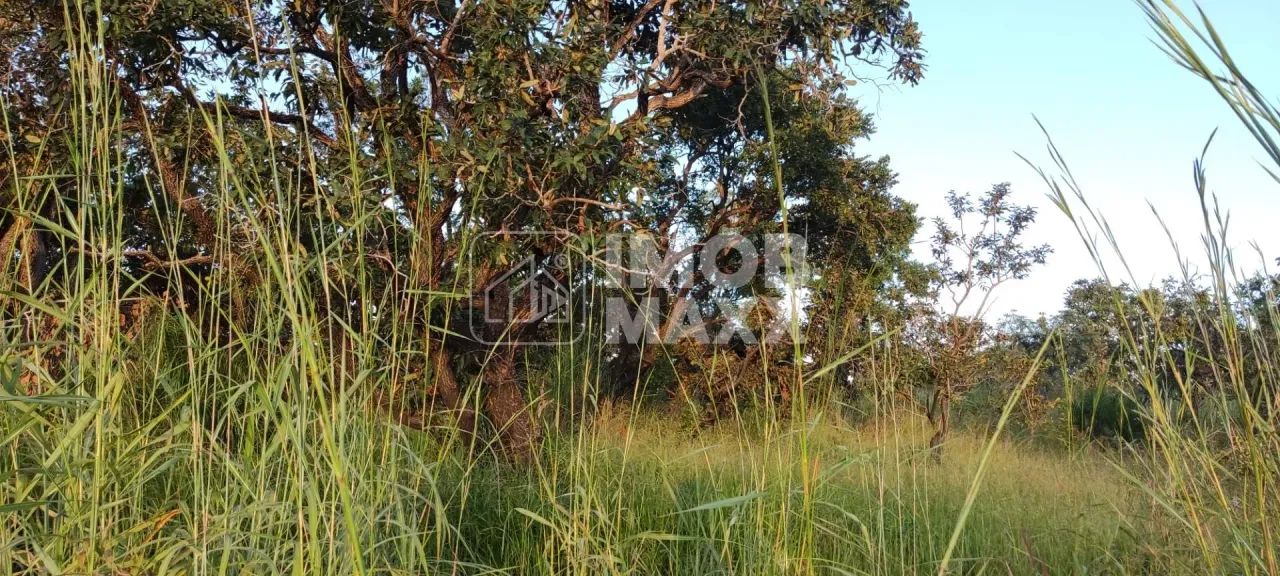 Chácara escriturada DF 140 - 2 ha - Mansões Fazendarias - TORORO - Foto 6