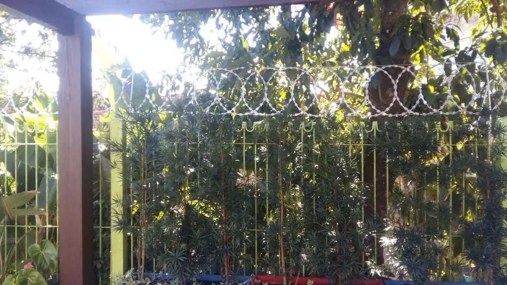 Concertina - Cercamento de propriedades  - Foto 2