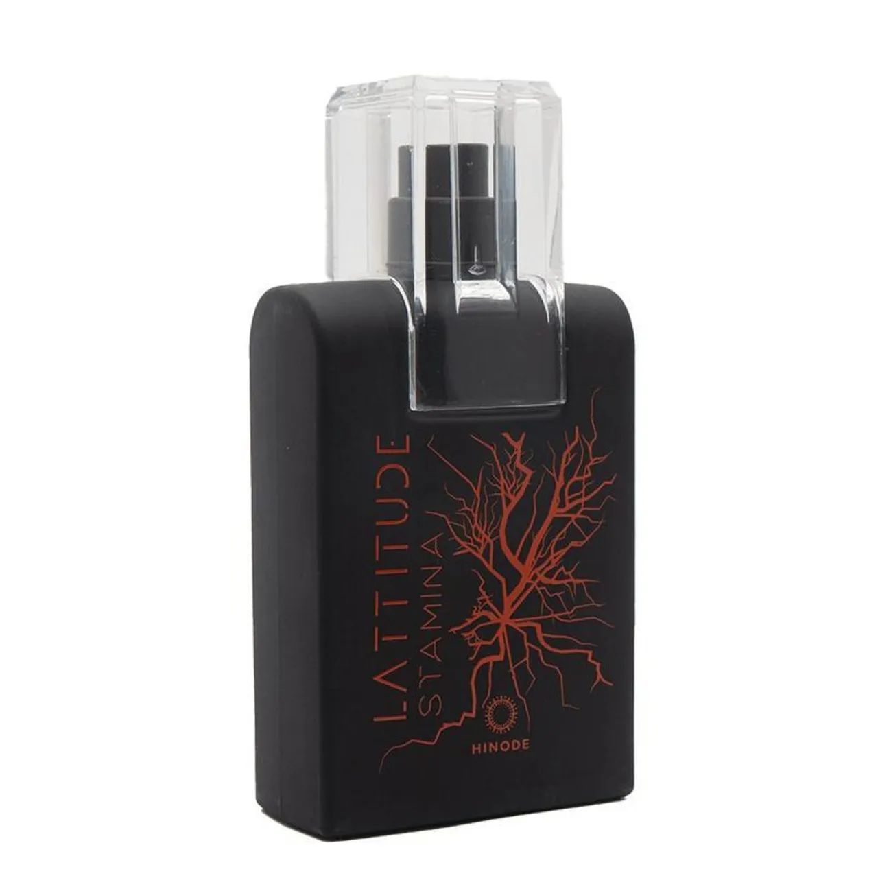 Perfumes Masculinos Hinode Lattitude 100ml  - Foto 4