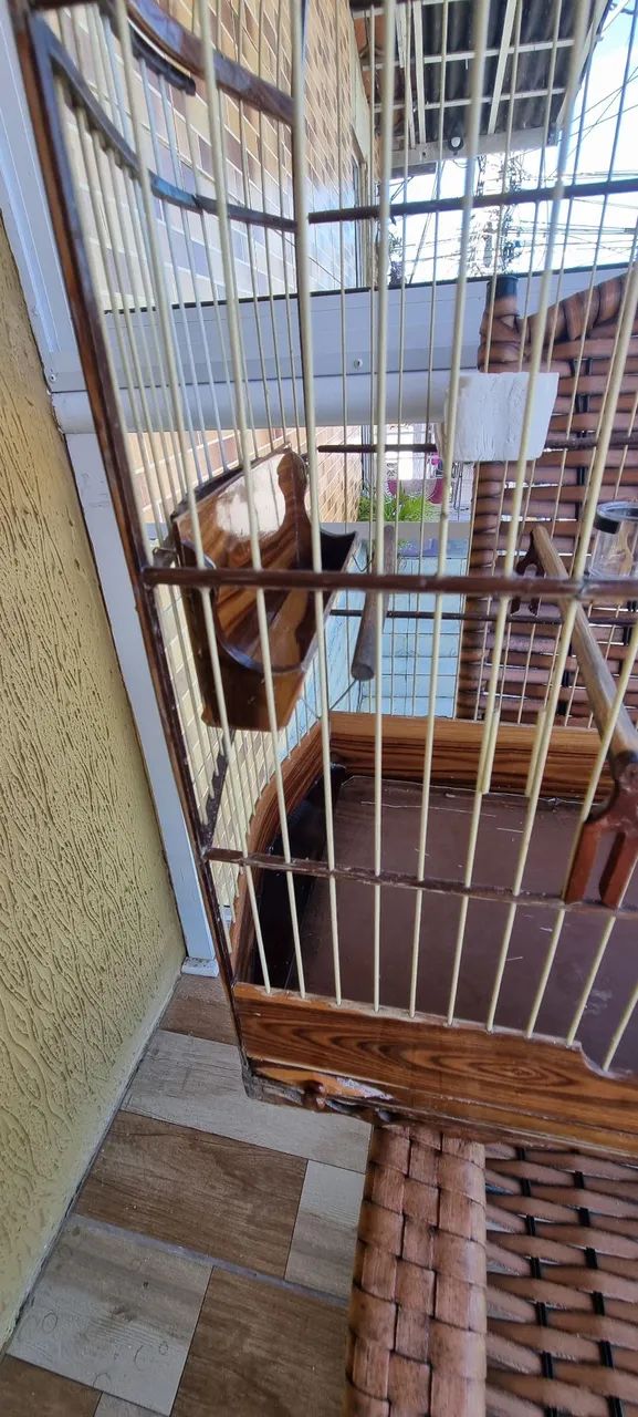 Gaiola de luxo número 9 malha fina  - Foto 5