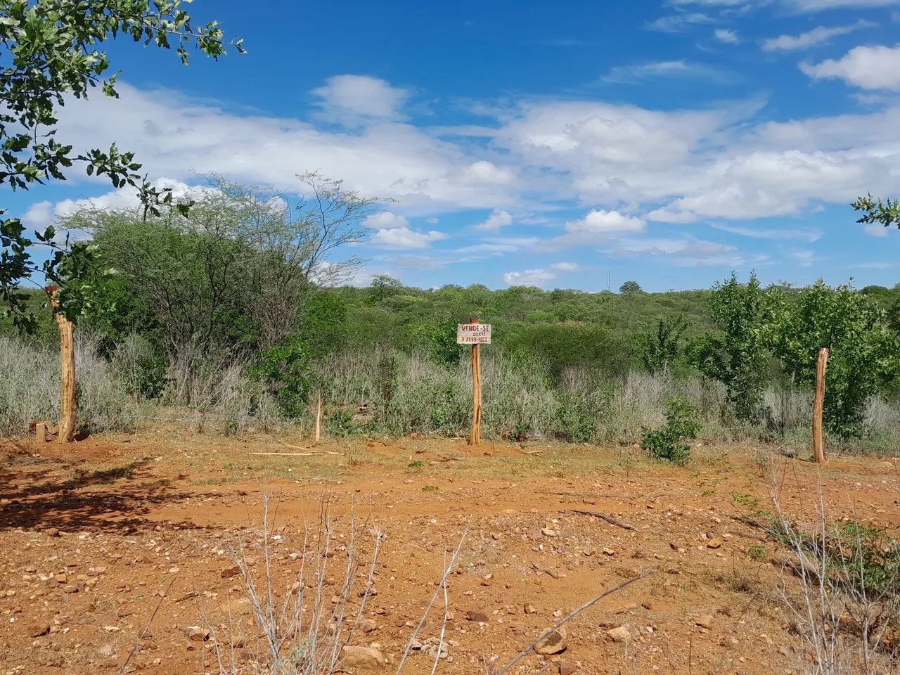 Terreno para chácara 20x43 - Foto 3