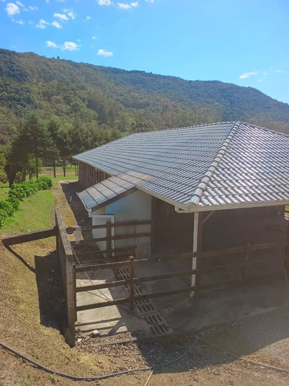 Estrebaria com 12 Cocheiras - Foto 4