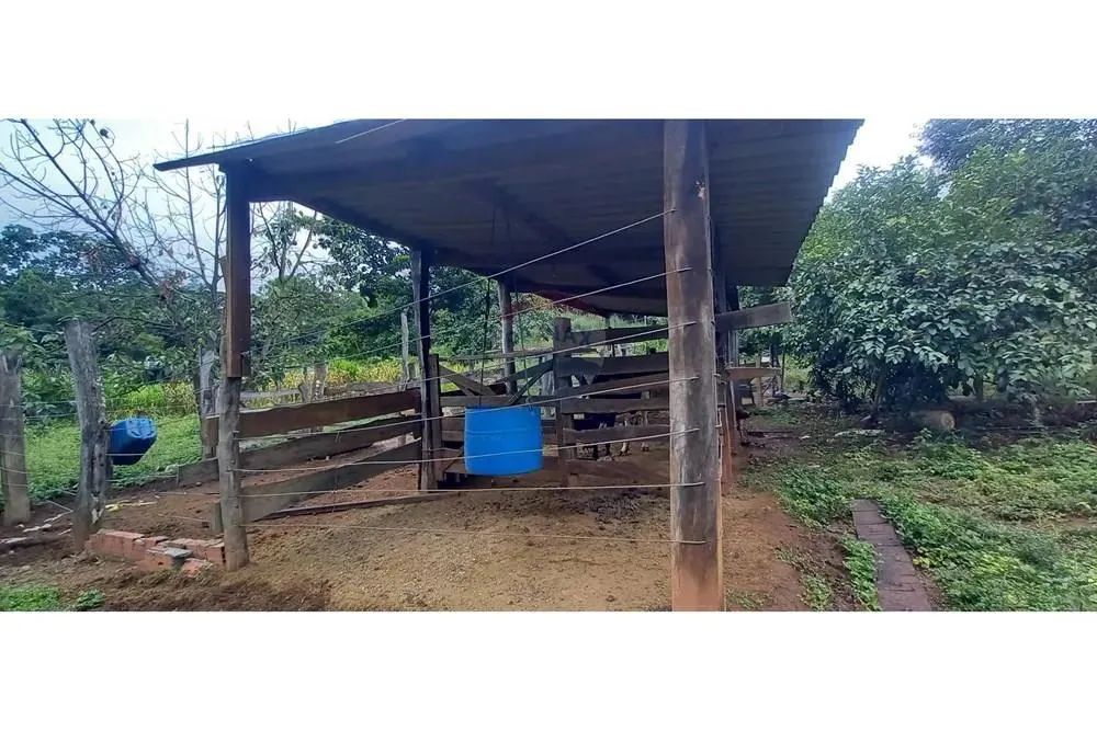 Chácara a venda Brazlândia DF 3 Hectares - Foto 4