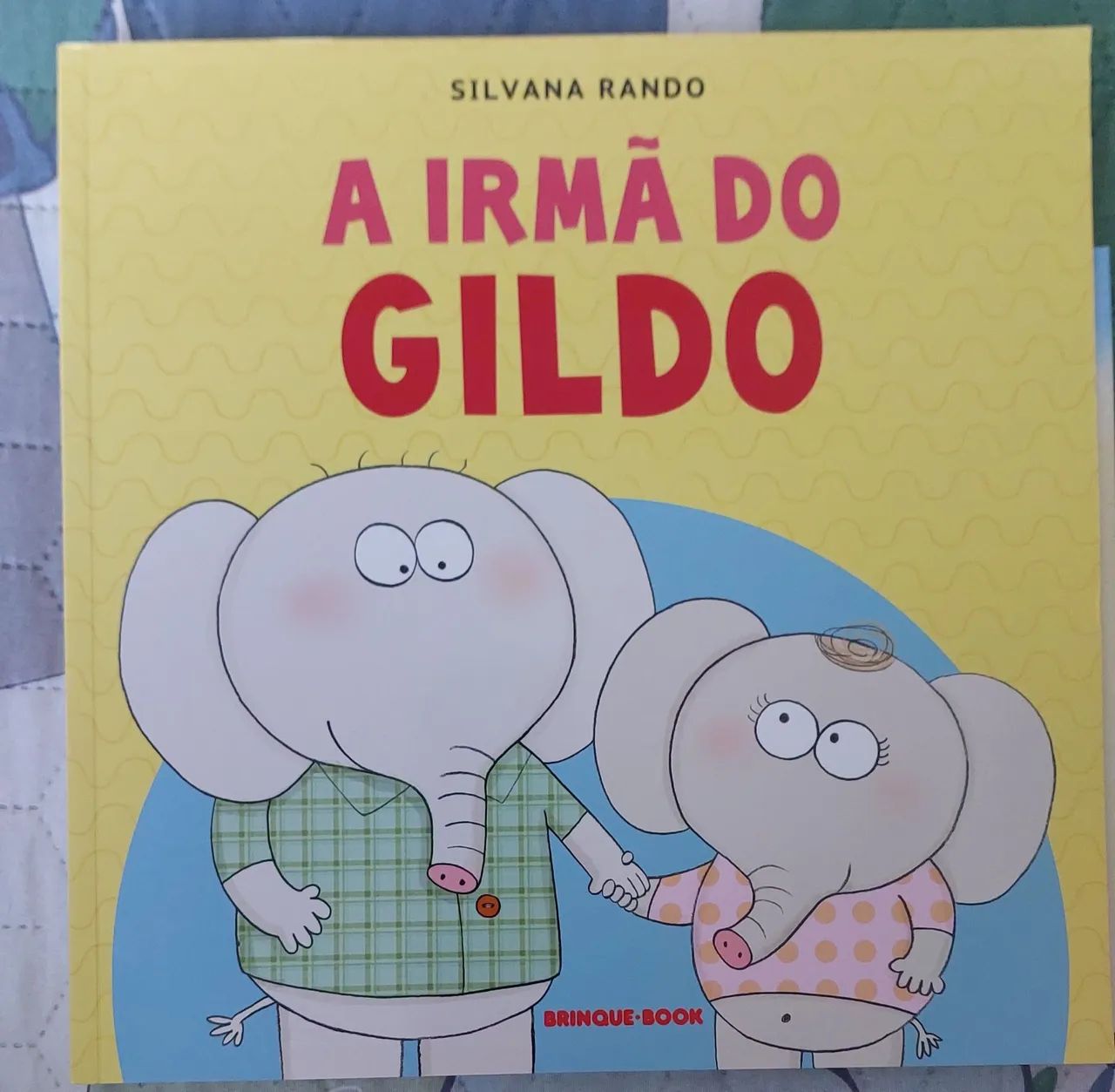 Livro - a irmã do Gildo 