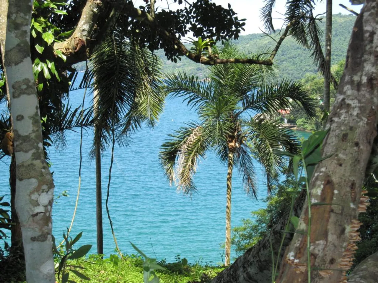 Praia Saco da Velha - Paraty - RJ