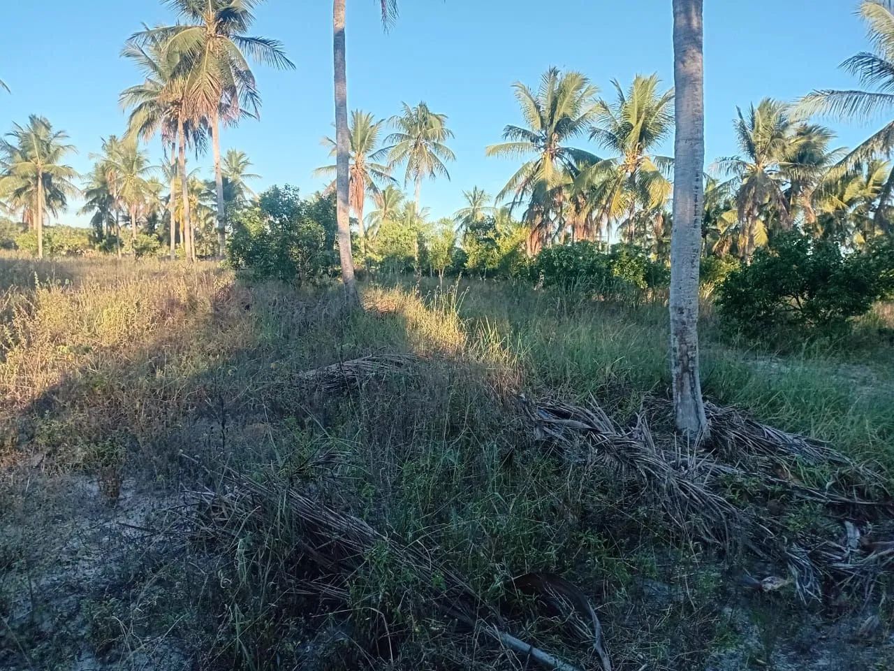 Sítio em Acajutiba interior da Bahia - Foto 5