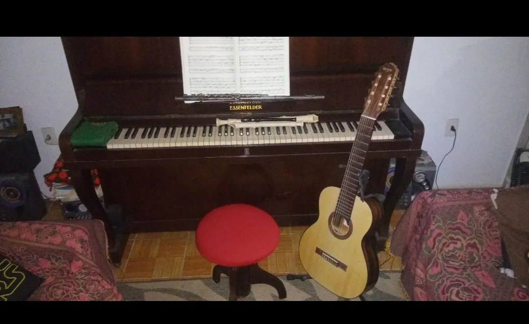 Aulas de instrumentos musicais, canto e atendimento em musicoterapia.