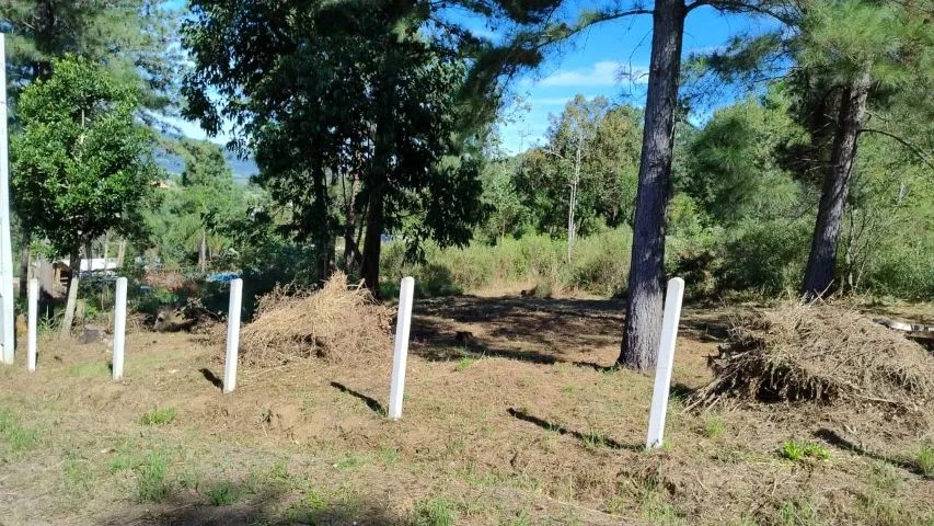 TERRENO 1000m2 Morungava (Parada 108) Taquara - Foto 2