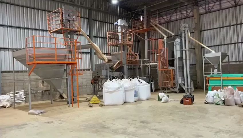 Indústria/Engenho/Beneficiamento de Feijão - Foto 4