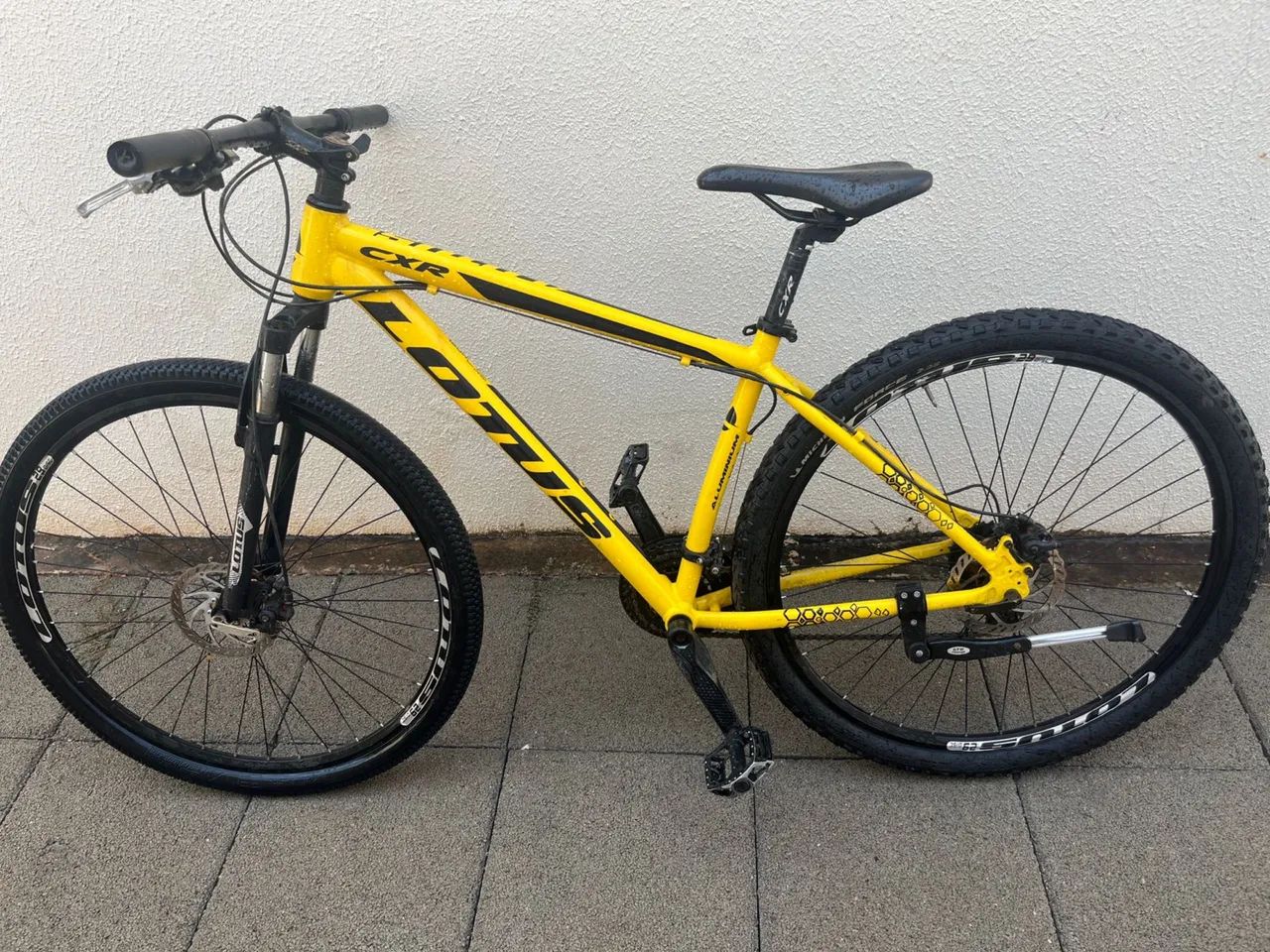 Bike lótus amarela com prata 