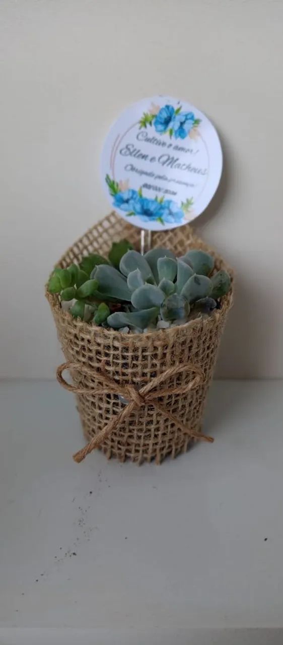Lembrancinhas de suculentas decoradas - Foto 5