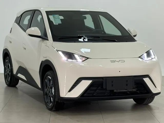BYD Dolphin Mini (Elétrico) 2027 - Foto 3