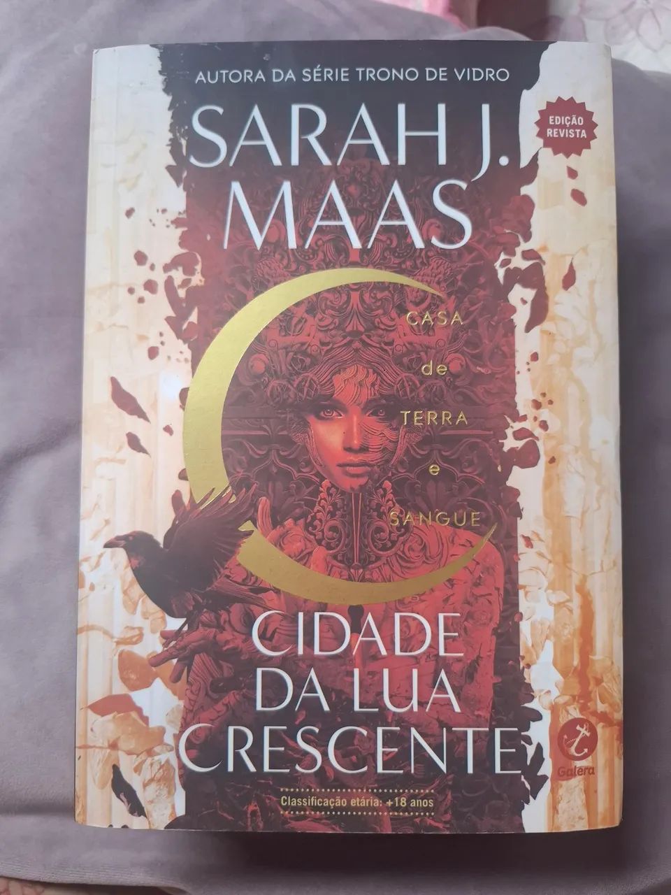 Livro Cidade da lua crescente