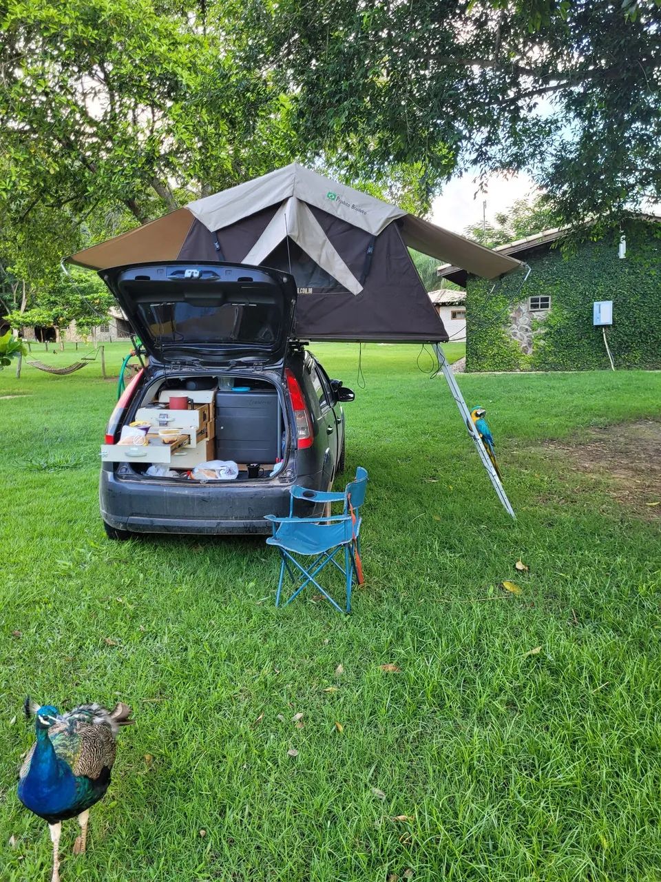 Trailer, camper , motorhome  - Foto 2