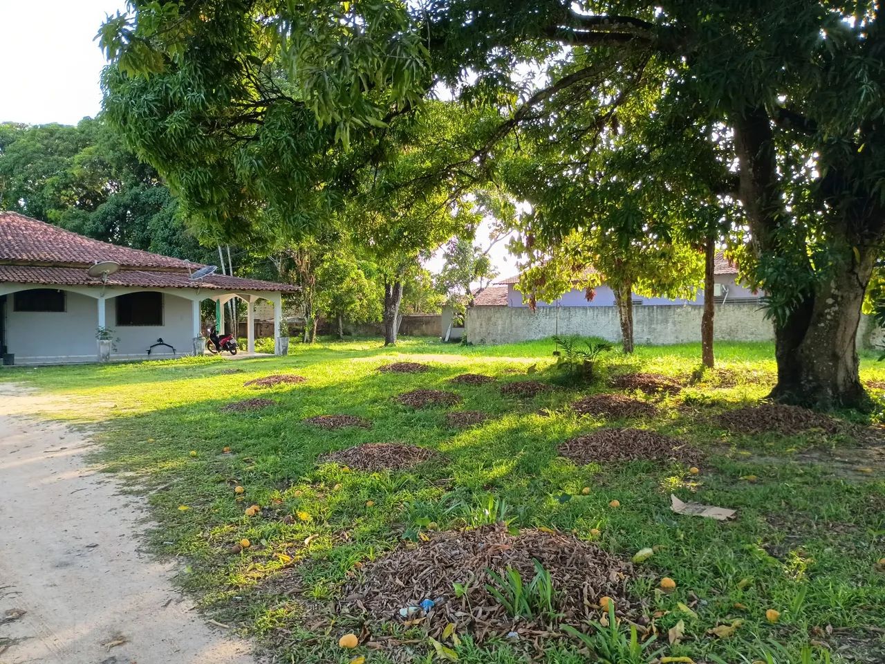 Vendo linda chácara +1 linda casa  - Foto 5