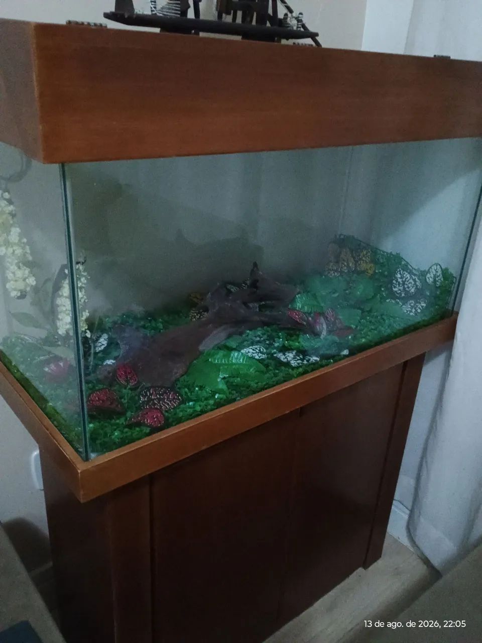 Aquário 200 litros 