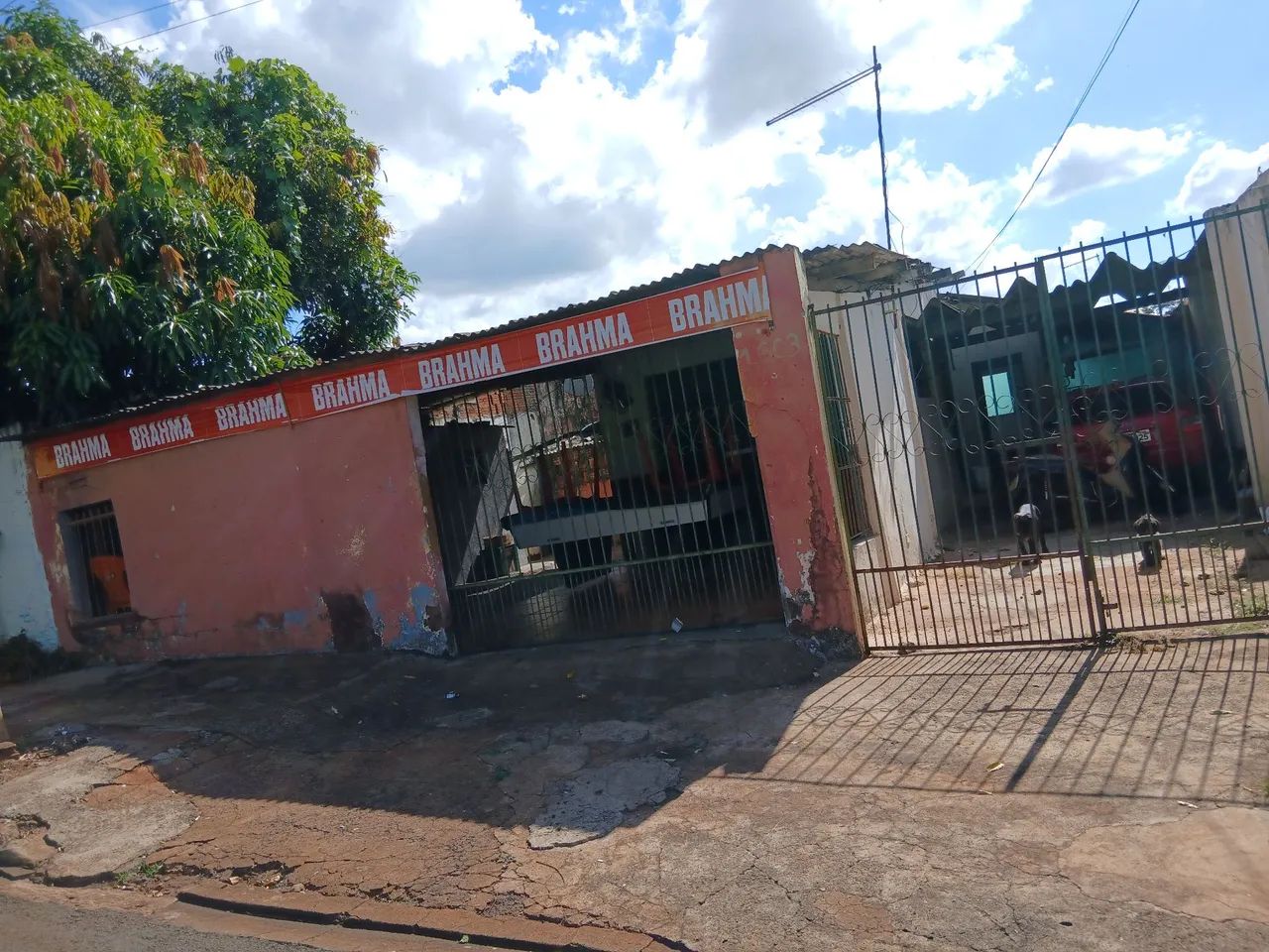 Foto - Londrina - Aquilles Sthengel