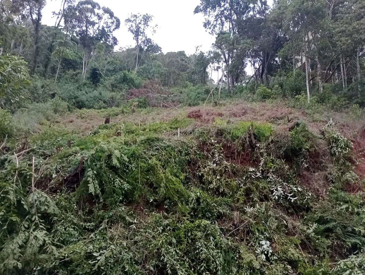 Lote em Marechal Floriano - Foto 3