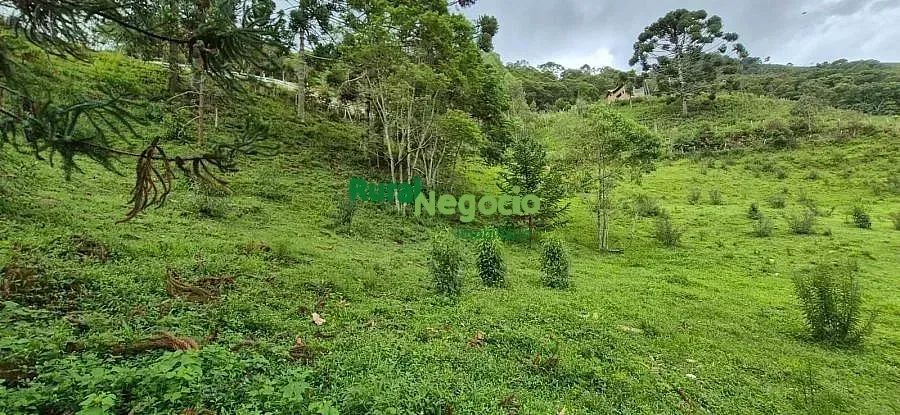SÍTIO EXCLUSIVO COM CACHOEIRAS EM ITAMONTE-MG