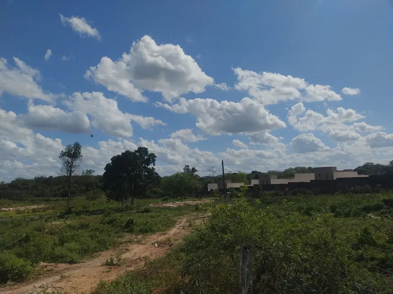 ÁREA EM ALAGOINHAS - Foto 4