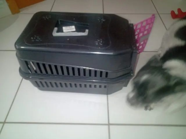 Caixa de transporte cachorro - Foto 2