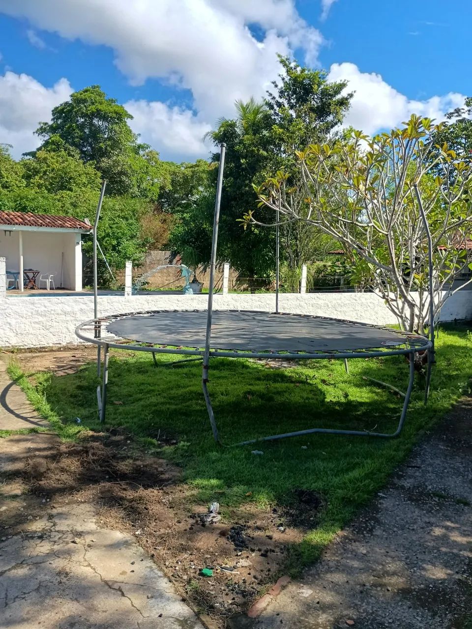 Pula Pula  - Foto 3