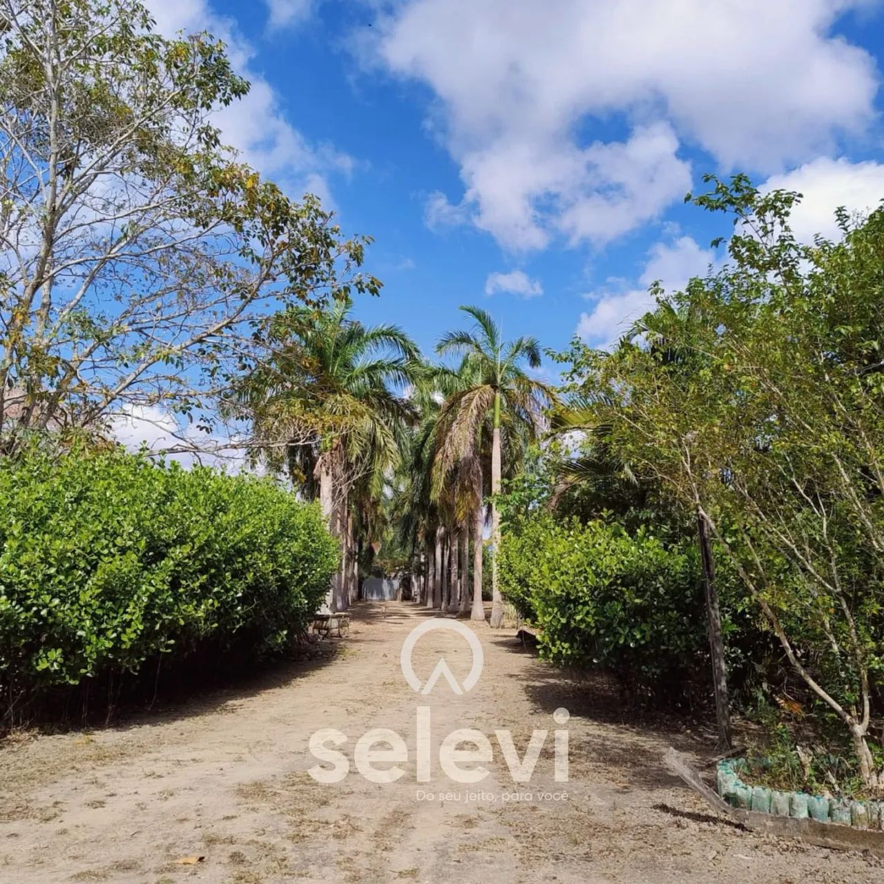 Chácara à venda em Satuba - 11.300m², Toda murada, Portal dos Gregórios II