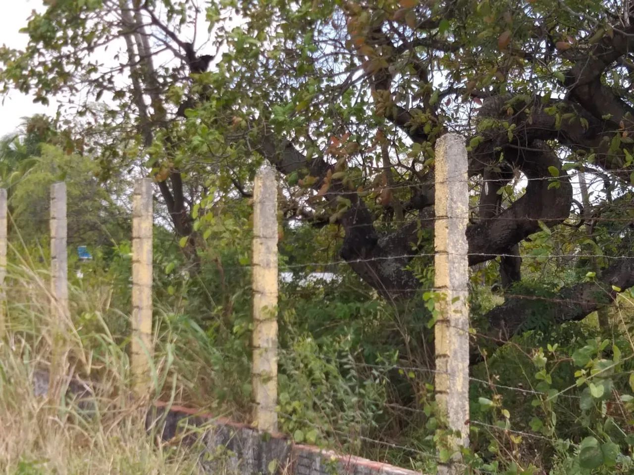 TERRENO para alugar na cidade de EUSEBIO-CE - Foto 3