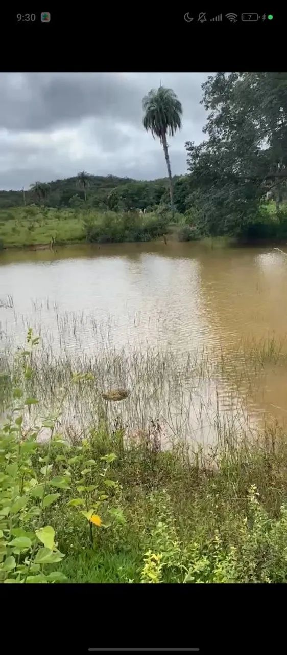 Sítio a venda