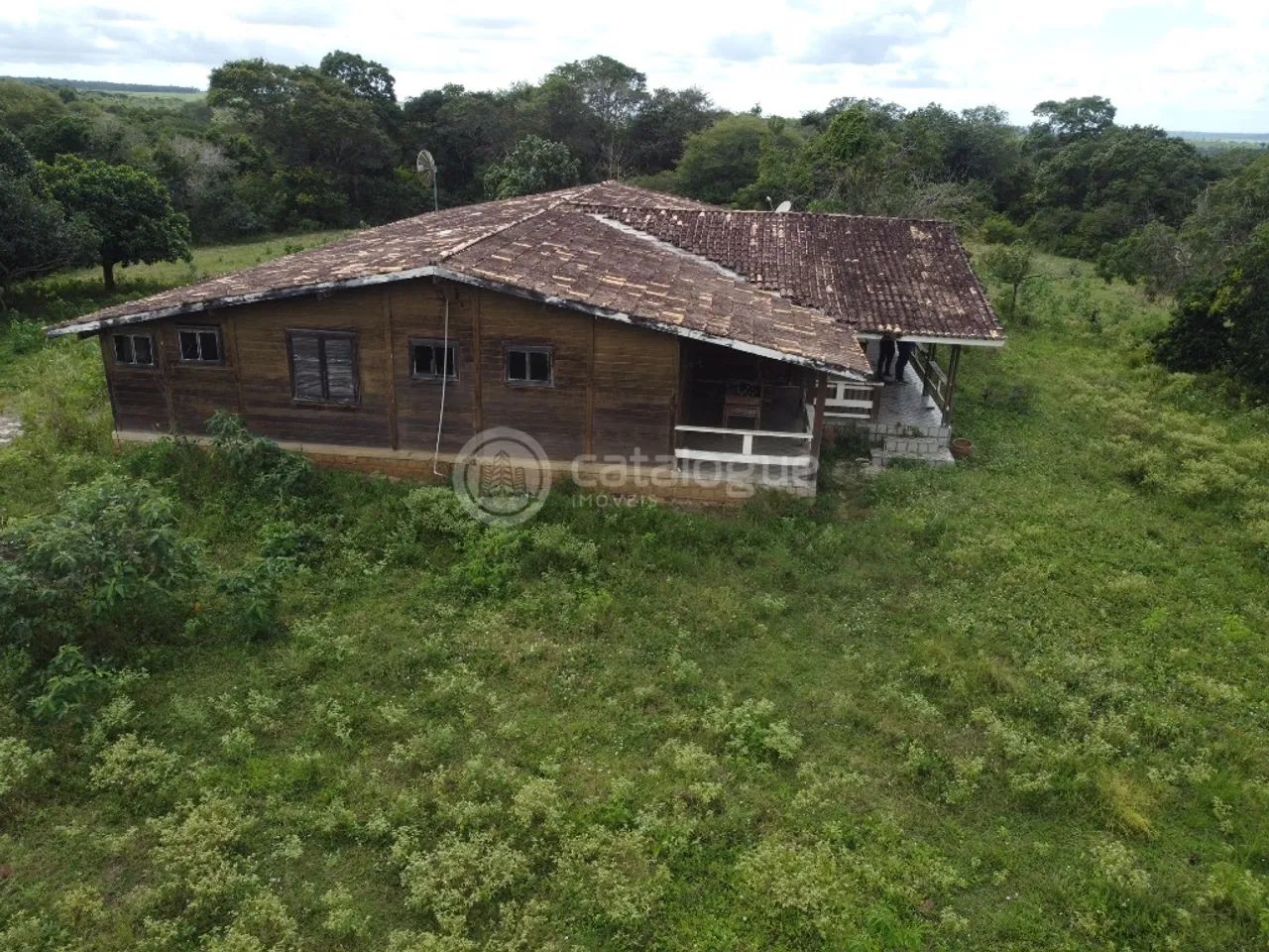 Fazenda 345 Hectares - Foto 4