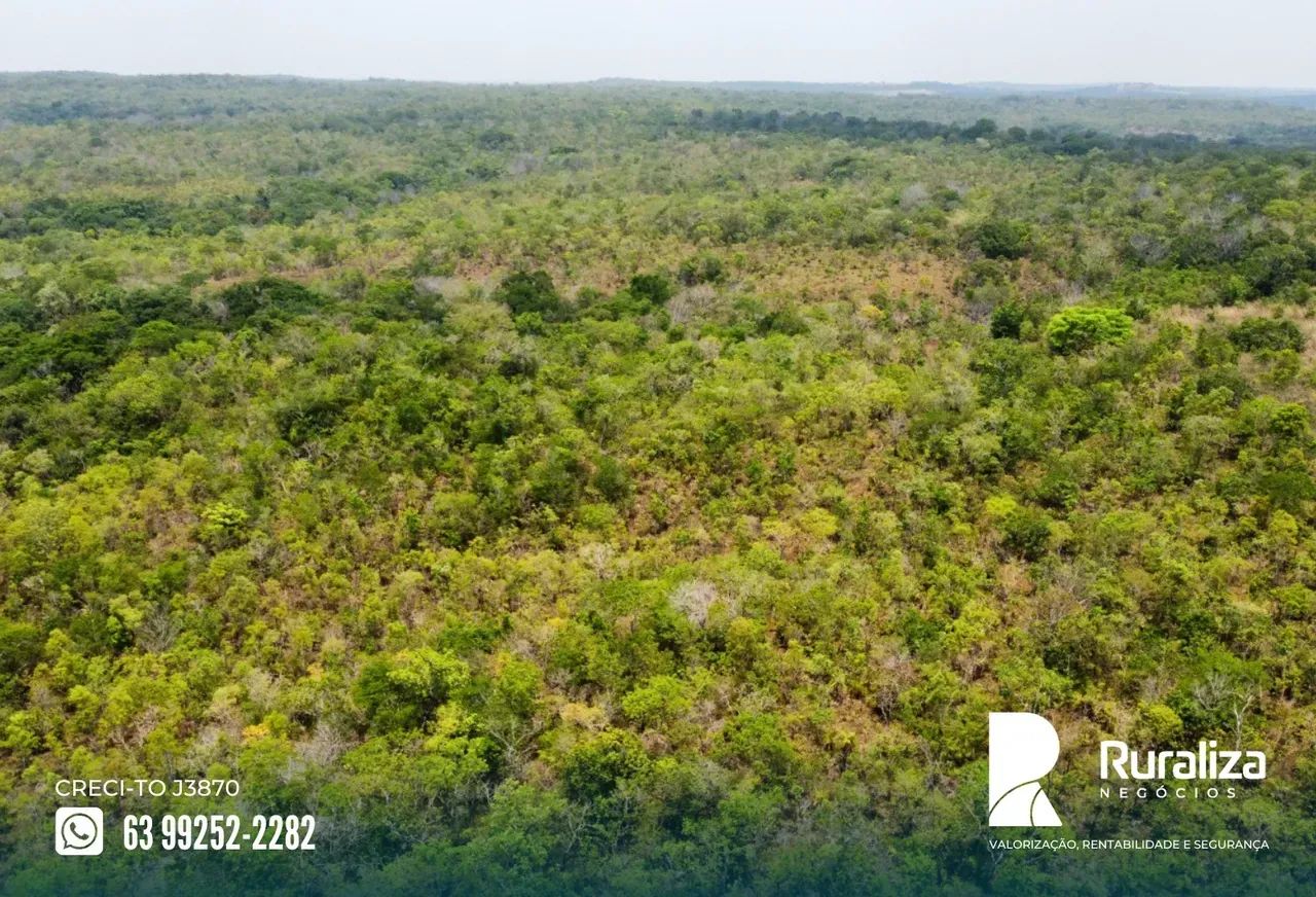 63 HA PARA ABERTURA | PLANO | EXCELENTE OPORTUNIDADE - Foto 4