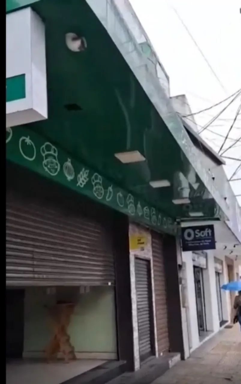 comercio
