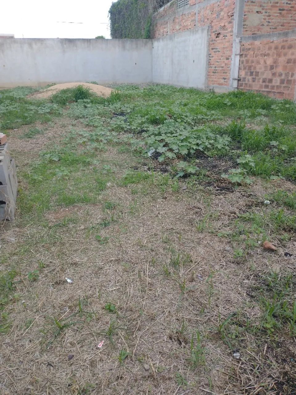 Foto - Campos dos Goytacazes - Parque Novo Jockey