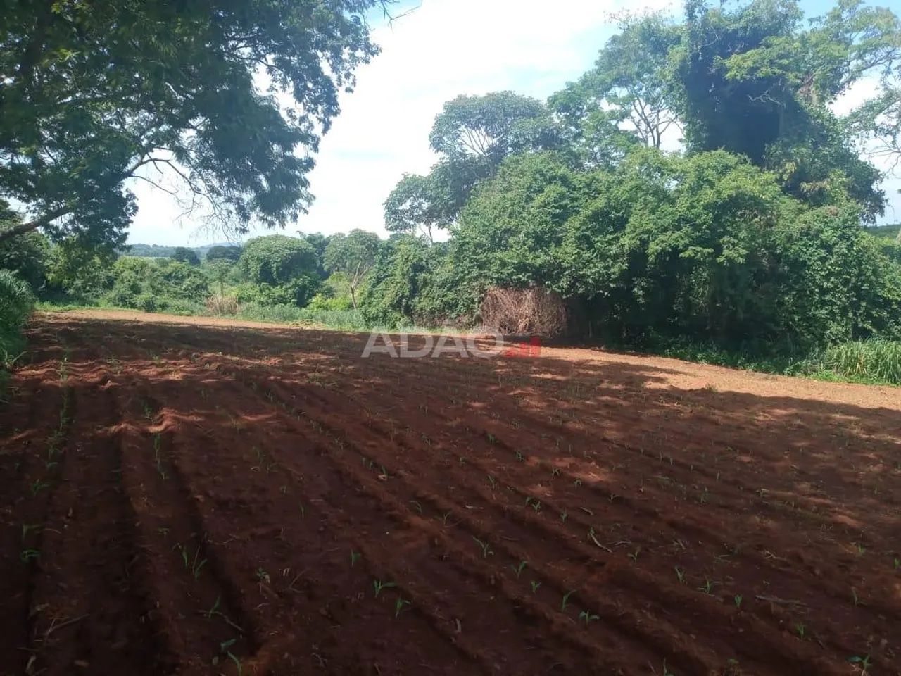 Chacara INCRIVEL 25km de Goiania - Foto 3