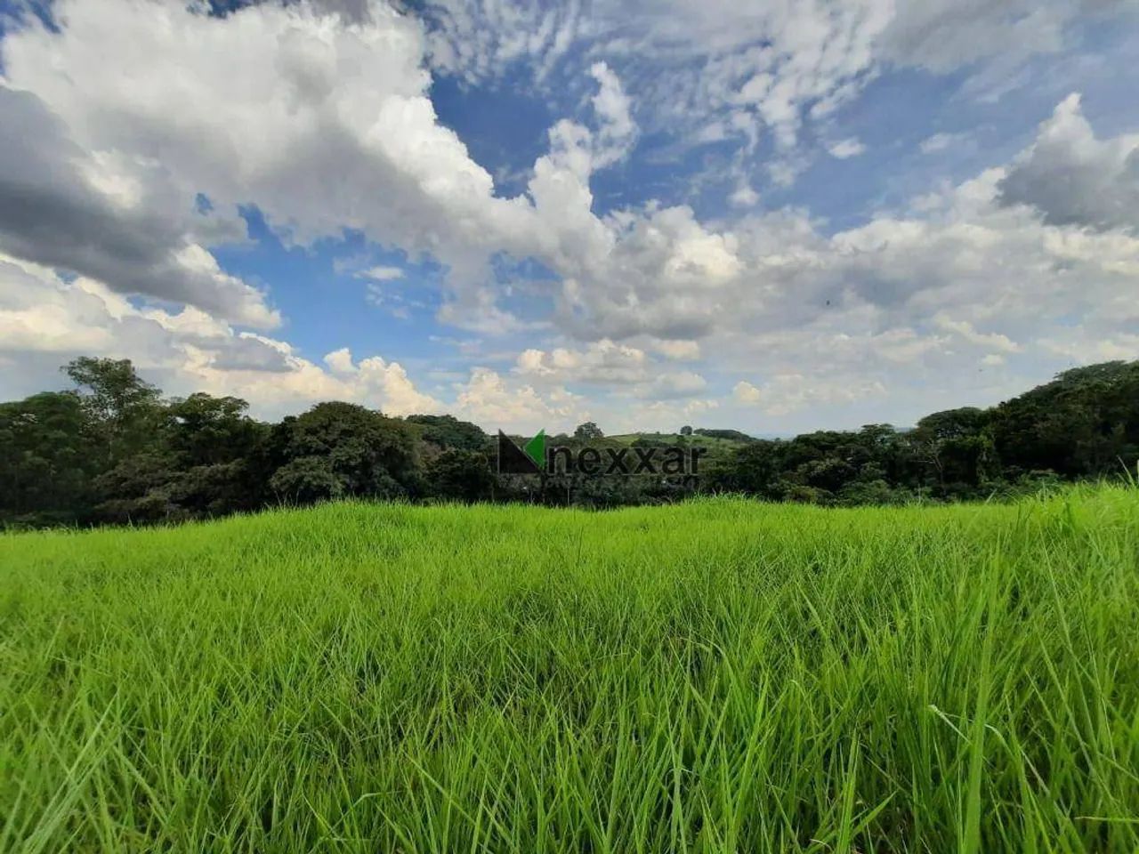 Área com 20.000 metros - Foto 3