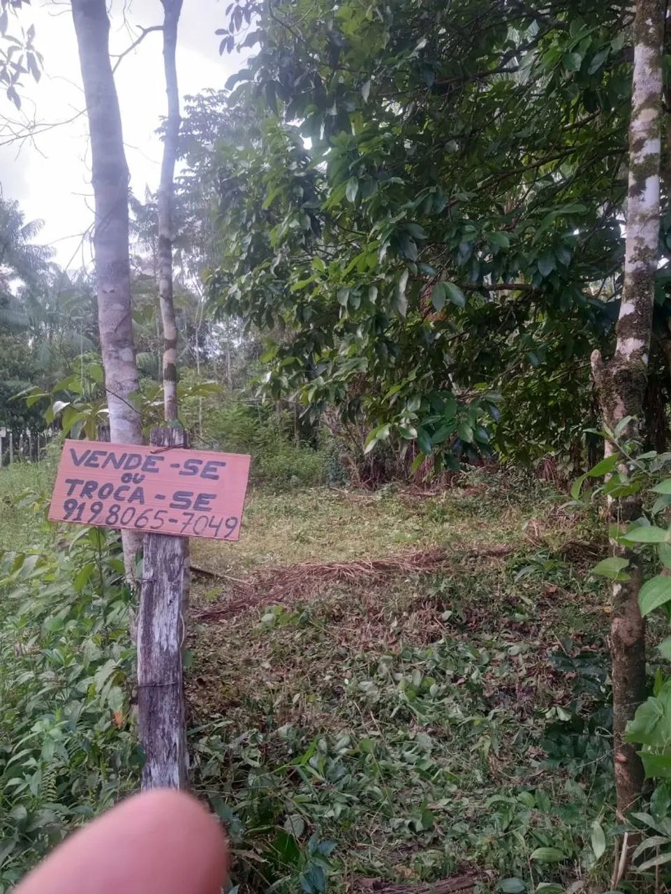 Vendo ou troco terreno 