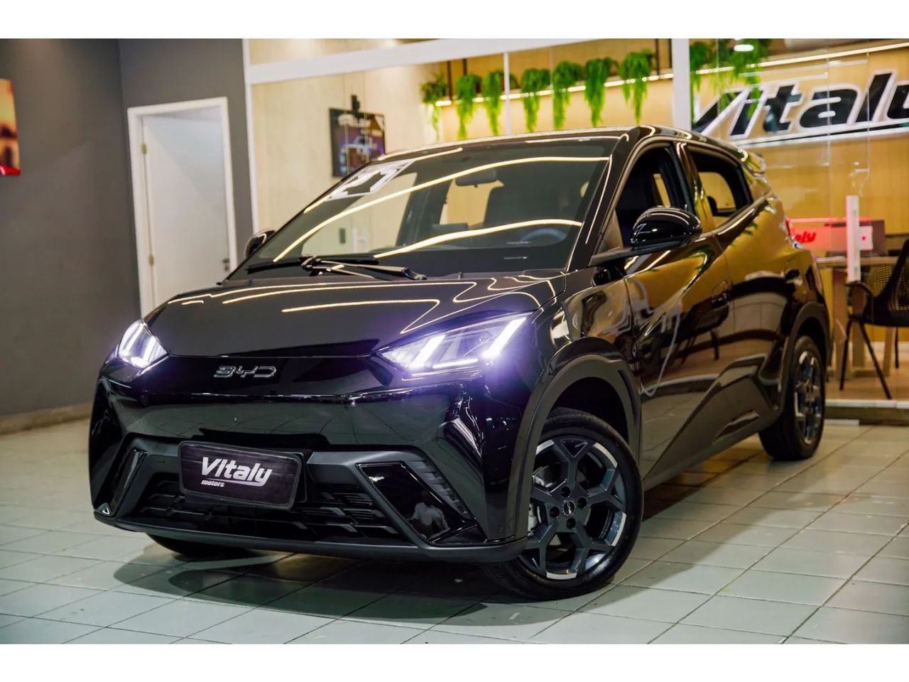 BYD Dolphin Mini (Elétrico) 2027