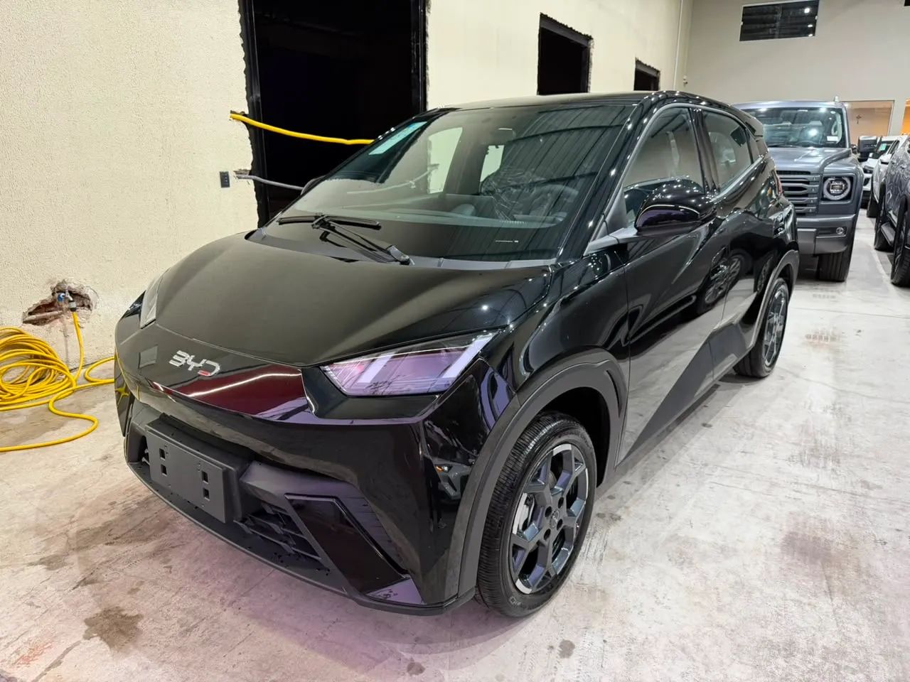 BYD Dolphin Mini GL 2027 - Foto 2