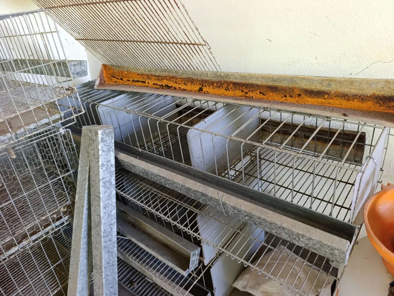 GAIOLA PARA CODORNAS65048996970242121