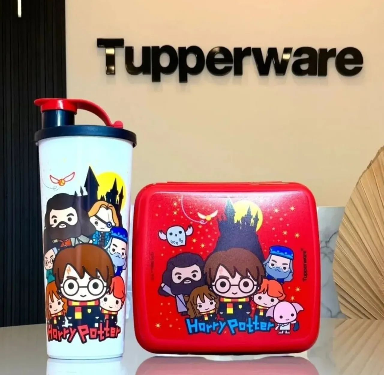 Conjunto infantil Tupperware 