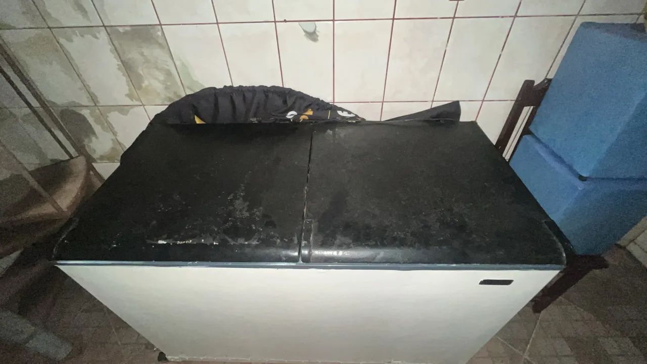 FREZZER 2 portas - Foto 2