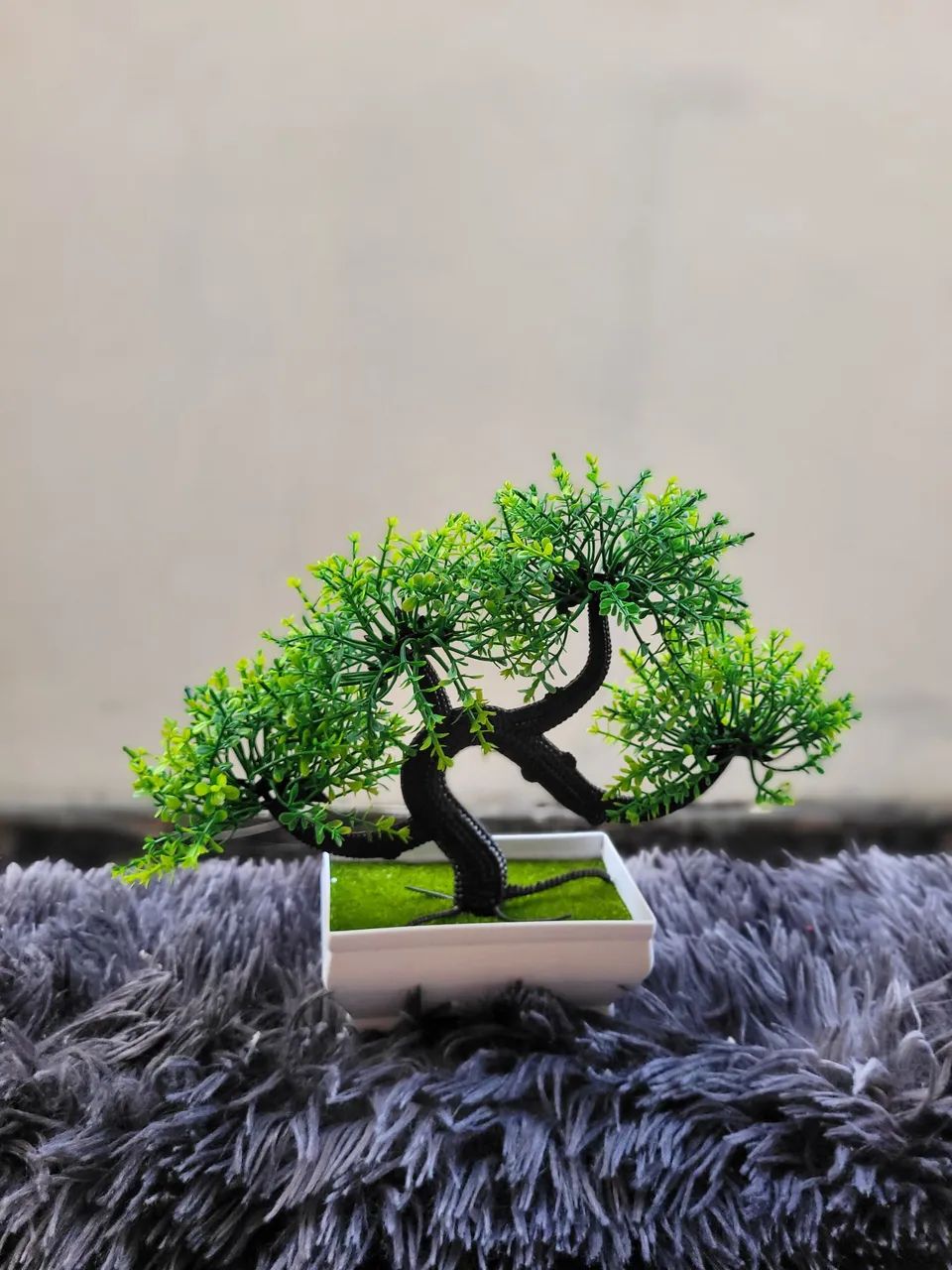 Bonsai's Lindos Decoração - Foto 4