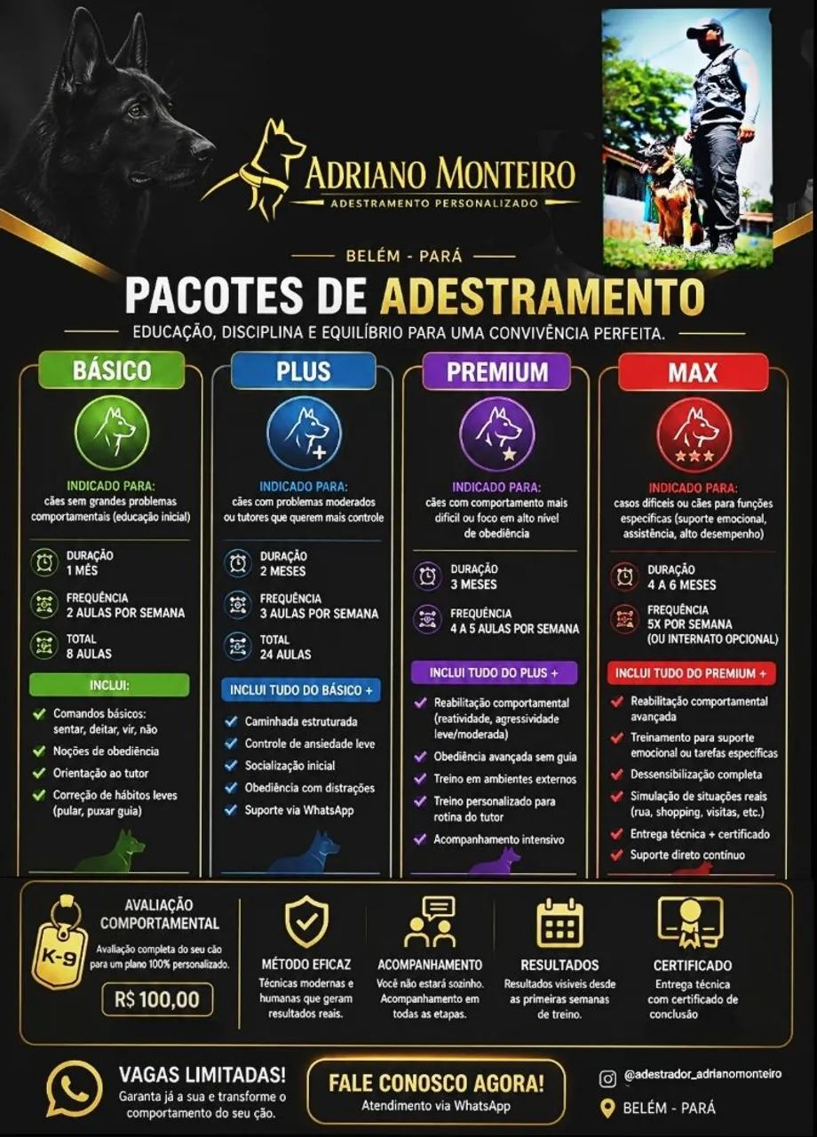 Adestrador/adestramento personalizado  - Foto 4