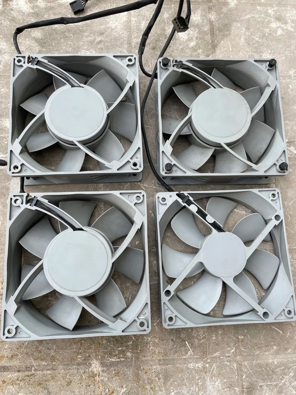 04 Fan  - Foto 4