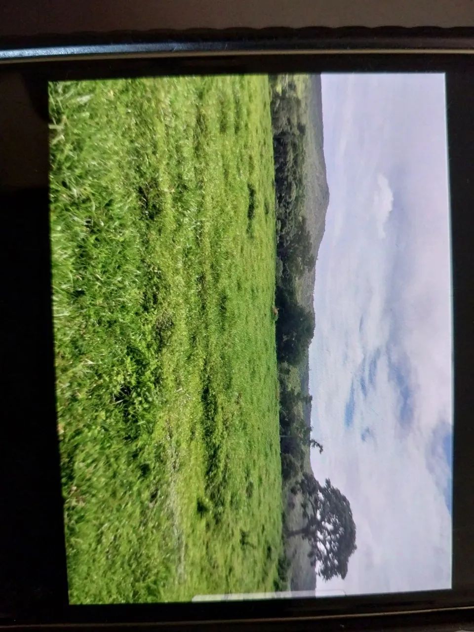 Fazenda com 20 alqueires - Foto 2