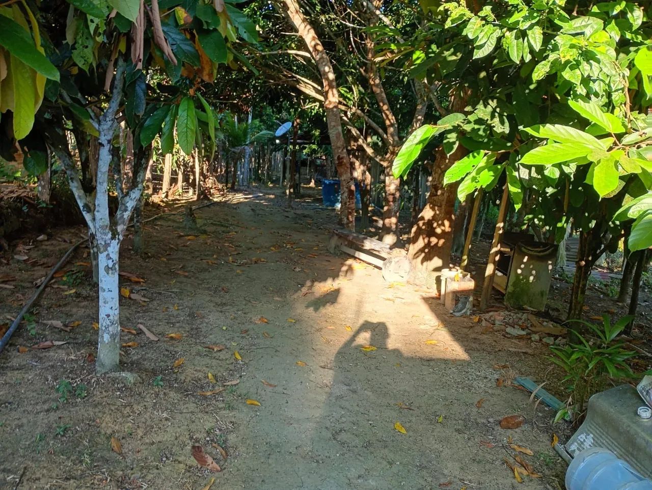 Sítio em Rio Preto da Eva - Foto 4
