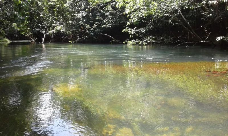 Sitio - AP 070 - Corre Agua. - Foto 2